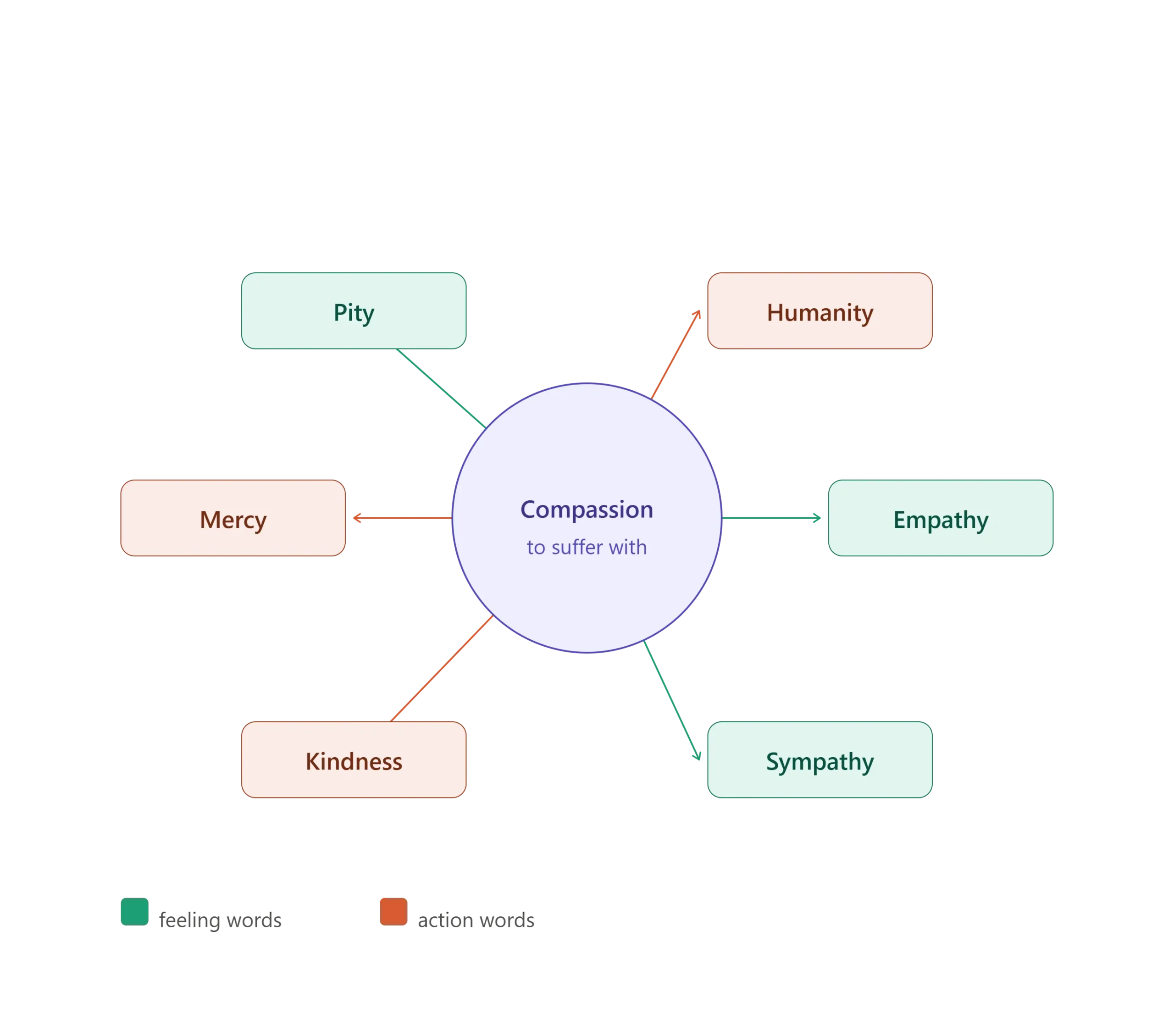 Compassion synonyms wheel showing empathy, sympathy, pity, kindness, mercy, and humanity